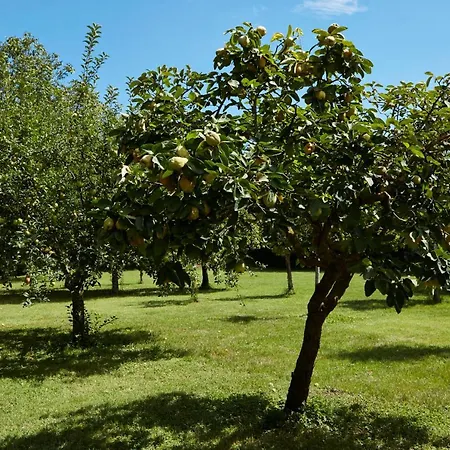 Casale Cenerelli Gospodarstwo wiejskie