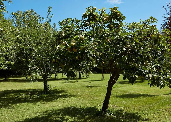 Casale Cenerelli Casa di campagna