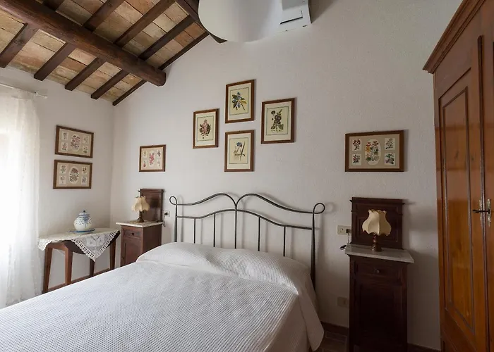 Gospodarstwo wiejskie Casale Cenerelli *